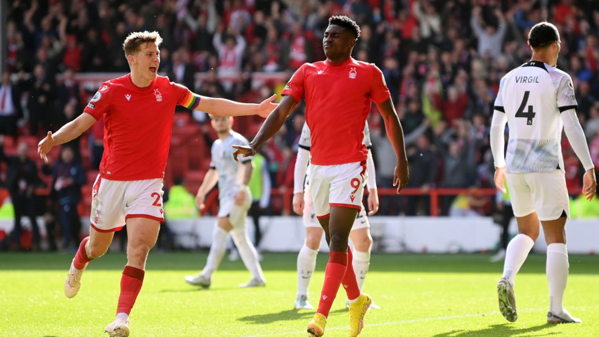 只有在培养 只有在培养