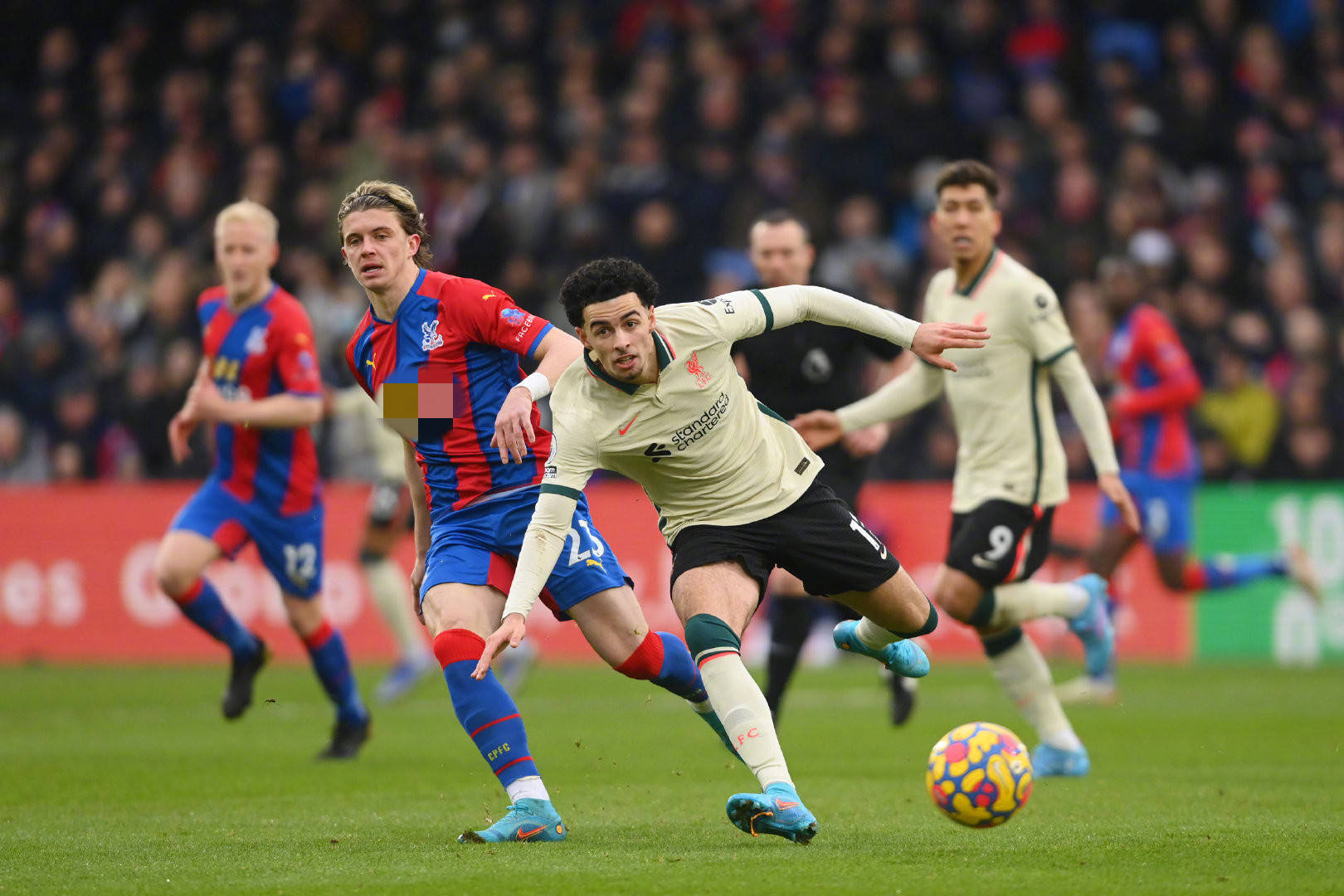 定成败的关 定成败的关